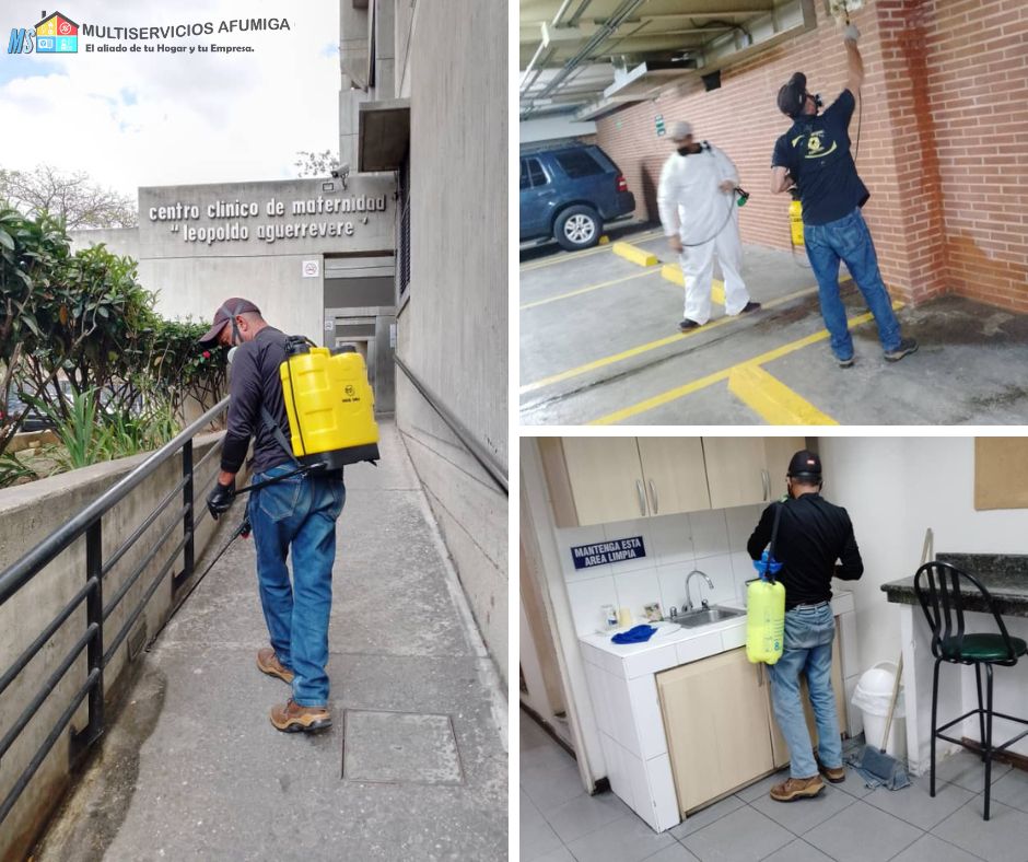 control de plagas la Guaira